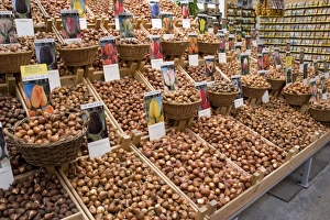 Images Dated 6th September 2007: Tulip bulbs at the Bloemenmarket