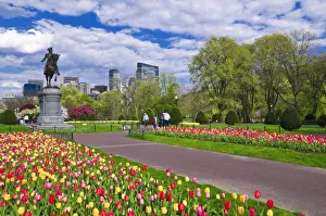 Images Dated 20th April 2010: Tulips and George Washington statue at the Boston Public Garden, Boston, Massachusetts