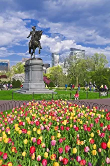 Glow Prints: Tulips and George Washington statue at the Boston Public Garden, Boston, Massachusetts