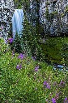 Images Dated 26th July 2016: Tumalo Falls in the Deschutes National Forest near Bend, Oregon, USA