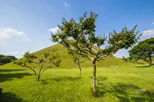 Images Dated 24th May 2011: Tumuli park with its tombs from the Shilla monarchs in the Unesco world heritage sight Gyeongju