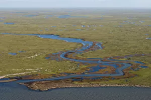 Images Dated 26th July 2006: tundra landscape with freshwater ponds along the Arctic coast, by the Colville River
