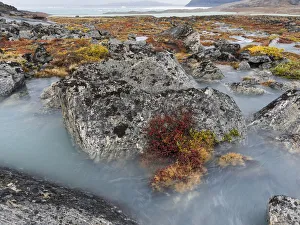 Pakitsoq Prints: Tundra near glacier Eqip (Eqip Sermia) in western Greenland, Denmark