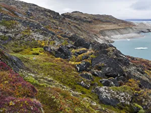 Images Dated 1st September 2017: Tundra near glacier Eqip (Eqip Sermia) in western Greenland, Denmark