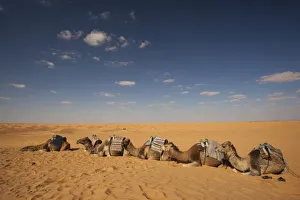 Tunisia, Ksour