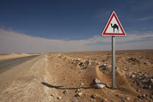 Images Dated 16th March 2010: Tunisia, Ksour Area, Ksar Ghilane, Oil Pipeline road with camel crossing sign