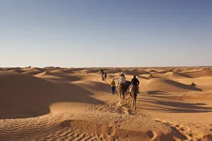 Images Dated 16th March 2010: Tunisia, Ksour Area, Ksar Ghilane, Grand Erg Oriental Desert, camel caravan