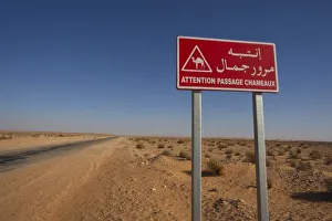 Tunisia, Ksour Area, Ksar Ghilane, Grand Erg Oriental Desert, oil pipeline road