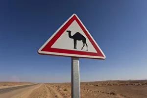 Tunisia, Ksour Area, Ksar Ghilane, Grand Erg Oriental Desert, oil pipeline road