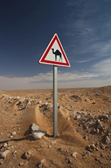 Tunisia, Ksour Area, Ksar Ghilane, Oil Pipeline road with camel crossing sign