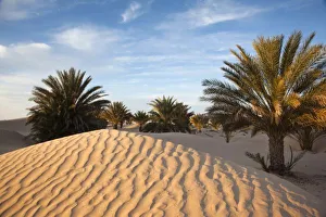 Tunisia Prints: Tunisia, Sahara