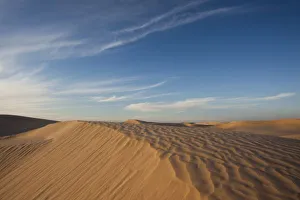 Images Dated 17th March 2010: Tunisia, Sahara Desert, Douz, Great Dune, dusk
