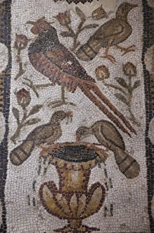 Roman Era Prints: Tunisia, Tunis, Bardo Museum, Roman-era mosaics