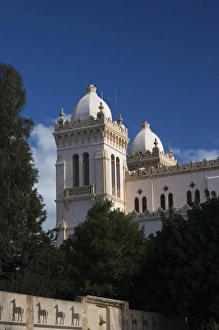 Images Dated 4th March 2010: Tunisia, Tunis, Carthage, Byrsa Hill, L Acropolium, b. 1884
