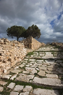 Ancient Site Prints: Tunisia, Tunis, Carthage, ruins of Roman-era Villas