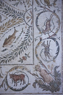 Tunisia, Tunisian Central Coast, El Jem, El Jem Museum, Roman-era mosaic