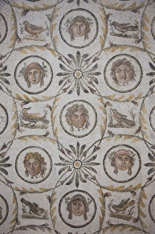 Tunisia, Tunisian Central Coast, El Jem, El Jem Museum, Roman-era mosaic