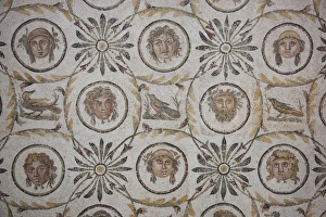 Tunisia, Tunisian Central Coast, El Jem, El Jem Museum, Roman-era mosaic