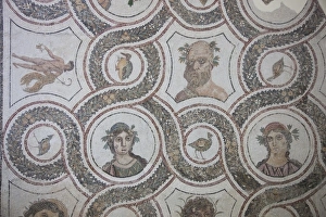 Tunisia, Tunisian Central Coast, El Jem, El Jem Museum, Roman-era mosaic