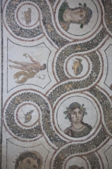 Tunisia, Tunisian Central Coast, El Jem, El Jem Museum, Roman-era mosaic