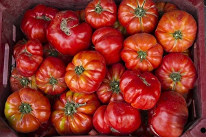 Food Market Prints: Turkey, Gaziantep, informally called Antep, is a city in southeast Turkey among