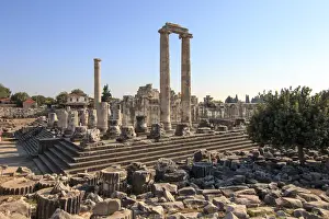 Turkey Prints: Turkey, west coast, Didyma, a sacred site of the ancient world. Its Temple of Apollo