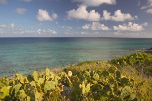 TURKS & CAICOS, Grand Turk Island, Northeast Point Ocean view with cactus