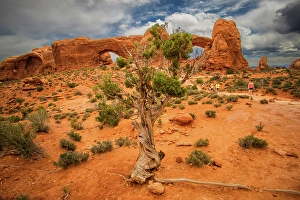 Images Dated 12th September 2024: Turret Arch, Arches National Park, Utah, US