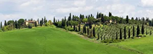 Images Dated 2022 August: Tuscany landscape with farm, cypress and olive trees. Tuscany, Italy