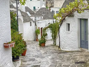 Images Dated 11th May 2019: Typical Trulli houses in Alberobello
