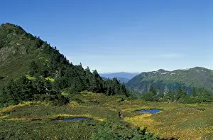 Grandure Prints: U. S. A. Alaska, Inside Passage Tongass National Forest near Wrangell
