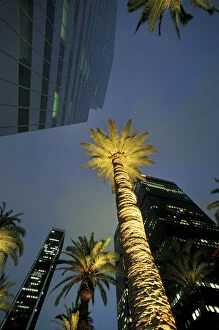 Images Dated 31st August 2003: U. S. A. California, Los Angeles Downtown Los Angeles, Civic Center area