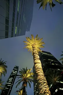 Looking Up Prints: U. S. A. California, Los Angeles Downtown Los Angeles, Civic Center area