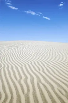 Images Dated 17th June 2005: U. S. A. Texas. Monahans Sandhills State Park in the Big Bend area of Texas, situated