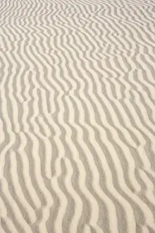 Images Dated 17th June 2005: U. S. A. Texas. Monahans Sandhills State Park in the Big Bend area of Texas, situated