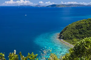 Images Dated 14th February 2017: U. S. Virgin Islands, St. John. Friis Bay waterfront