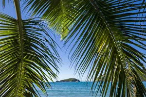U. S. Virgin Islands, St. John. Trunk Bay and beach