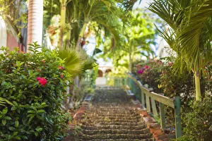 Images Dated 12th February 2017: U. S. Virgin Islands, St. Thomas. Charlotte Amalie, The 99 Steps