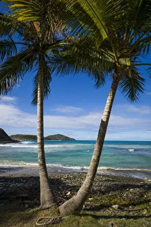 Images Dated 12th February 2017: U. S. Virgin Islands, St. Thomas. View of Dorothea Bay