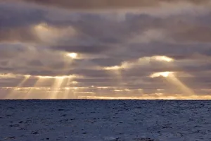 Crepuscular Ray Prints: UK Territory, South Georgia Island, Scotia Sea. God rays pierce stormy clouds above ocean