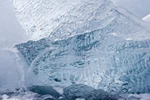 Blue Ice Prints: UK Territory, South Georgia Island, Wirik Bay. Close-up of translucent glacier ice