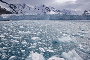 Melt Prints: UK Territory, South Georgia Island, Iris Bay. Sea ice in front of Herz Glacier
