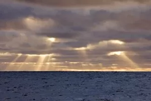 Images Dated 12th November 2007: UK Territory, South Georgia Island, Scotia Sea. God rays pierce stormy clouds above ocean
