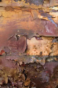 Ukraine Prints: Ukraine, Pripyat, Chernobyl. Graffiti and rust on old train cars