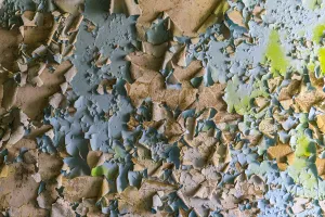 Ukraine Prints: Ukraine, Pripyat, Chernobyl. Peeling paint