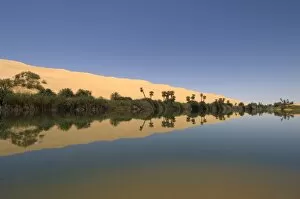 Images Dated 14th May 2007: Umm El Ma lake, Erg Awbari, Sahara desert, Fezzan, Libya