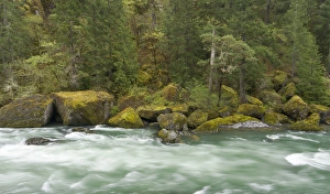 Images Dated 6th May 2011: The Umpqua river, Oregon