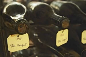 In the underground wine cellar: lying bottles in the treasure chamber where the oldest