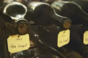 Maison Louis Jadot Prints: In the underground wine cellar: lying bottles in the treasure chamber where the oldest