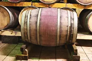 Storage Prints: The underground wine cellar with old oak barrels for storing the wine. VitaI Vitaai